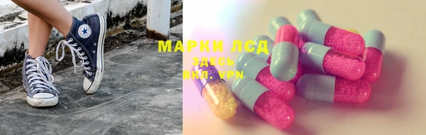 apvp Аркадак