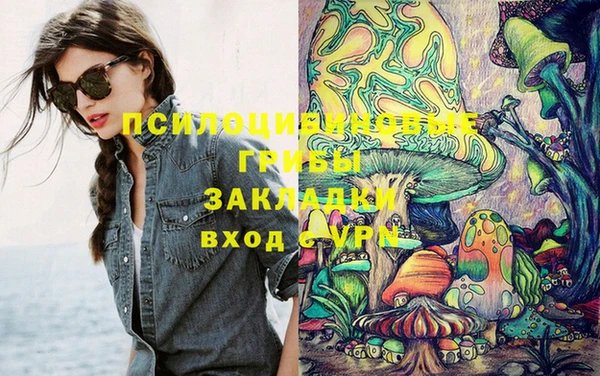 apvp Аркадак